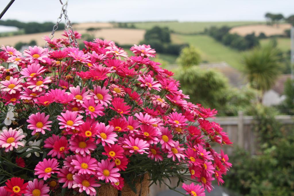 Linton Luxury Holiday Home Mevagissey Exterior photo